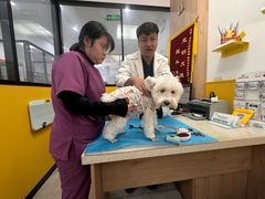 -瑞派·爱瑞可动物医院·口腔专科(广华新城分院)