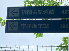 -李子坝梁山鸡(李子坝大鸡哥店)