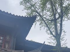 -大妙火锅·非物质文化遗产(东湖公园店)