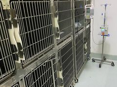 -汪喵宠物医院·骨科心脏影像·犬猫急重症ICU诊疗中心(成华分院)