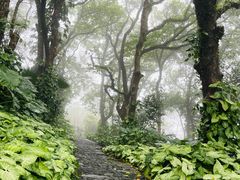 -海口火山口国家地质公园
