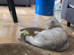 -悠米私人影院(街道口店)