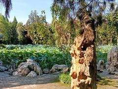 -莲池书院博物馆