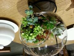 -菩提树·素食餐厅(汇智国际商业中心店)