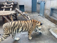 -西安秦岭野生动物园