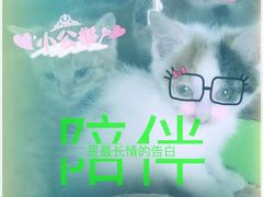 -仁华宠物医院(青羊店)