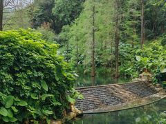 -云溪植物园