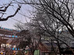 -上海南浦大桥长途旅游客运站