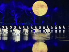 -印象西湖·最忆是杭州实景演出