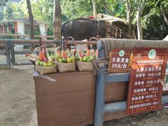 -西双版纳原始森林公园