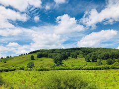 -塞罕坝国家级自然保护区