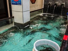 -鱼痴渔醉·食鲜集(月亮湾店)