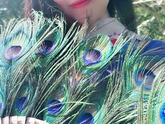 -西双版纳傣族园