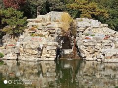 -香山公园
