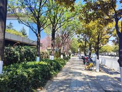 -昆明国际会展中心