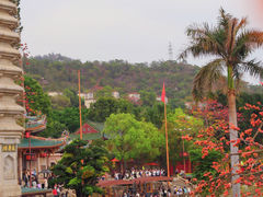 -南普陀寺