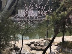 -团结湖公园