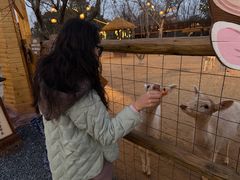 -茅山东方盐湖城景区