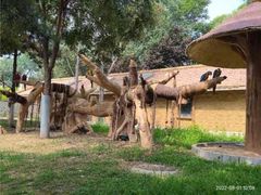 -石家庄市动物园