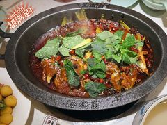 -黔渔翁豆花渎鱼(喷水池店)