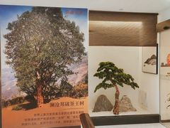 -澜沧古茶·商务茶馆(萧山人民广场店)