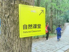-同里国家湿地公园