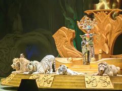 -广州长隆国际大马戏