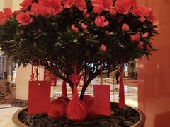 -北京中国大饭店