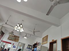 -y牌太安鱼