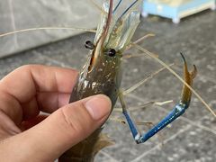 -SHRIMP CLUB万东餐饮钓虾·清吧