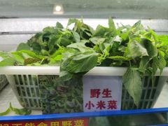 -黔府豆米火锅野菜馆(南马店)