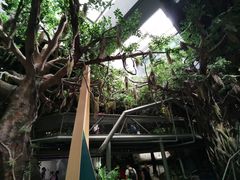 -长江文明馆