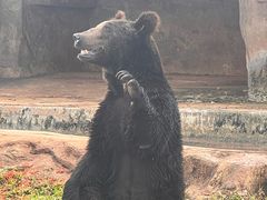 -海南热带野生动植物园