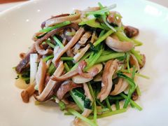 芫爆肚丝-鸭匠食府·挂炉烤鸭·新京菜(阜成路店)