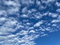 -学成饭店(北辰店)