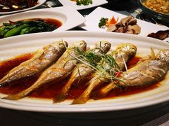 鸡油花雕蒸黄鱼-太湖饭店·寄畅轩中餐厅