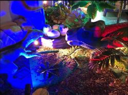 -恐龙探索乐园(磁器口店)