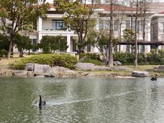 -苏州金鸡湖大酒店