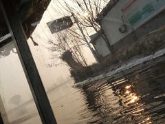 -白洋淀景区