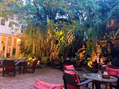 -Fern Forest Cafe