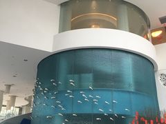 -深圳东部华侨城瀑布酒店