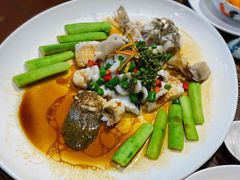 青花椒蒸笋壳鱼-猪肉婆私房菜(容桂总店)