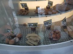 -超级鸡车(华东师大店)