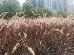 -中国杭州低碳科技馆