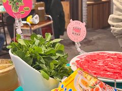 -粉灯牛腩牛杂煲·鸡煲(双井店)