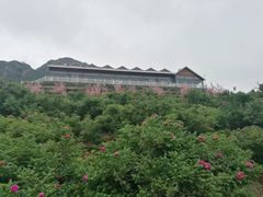 -密云玫瑰情园
