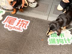 -福田卓悦INTOWN购物中心