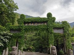 -东林大峡谷