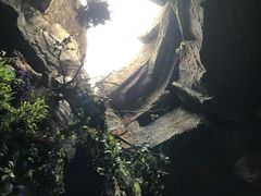 -游龙石文化科普馆