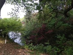 -宝岩生态观光园